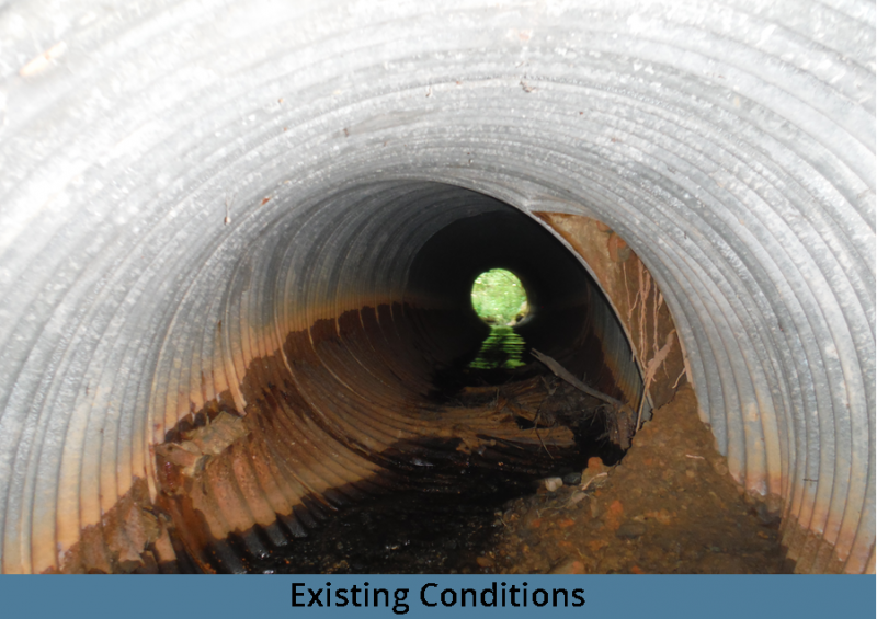 graves_existing_conditions-3